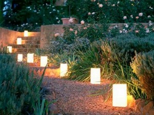 Garden Lights Installation